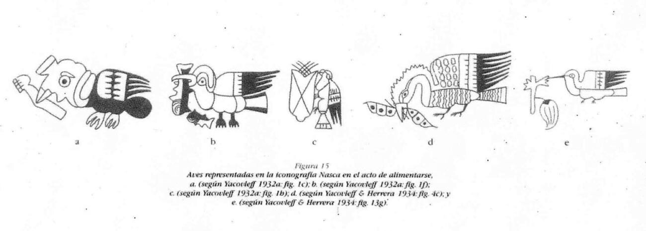 Dibujos de pájaros de varias obras de Yacovleff en diferentes años (1932, 1934). 