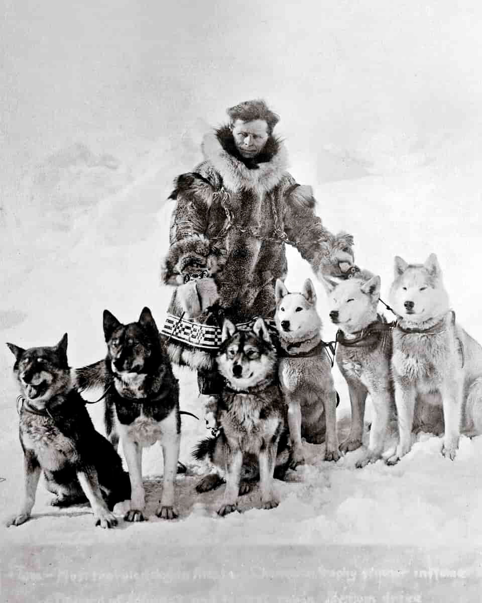 Leonard Seppala, der Musher mit seinen Hunden (Hund Togo auf dem Bild links).