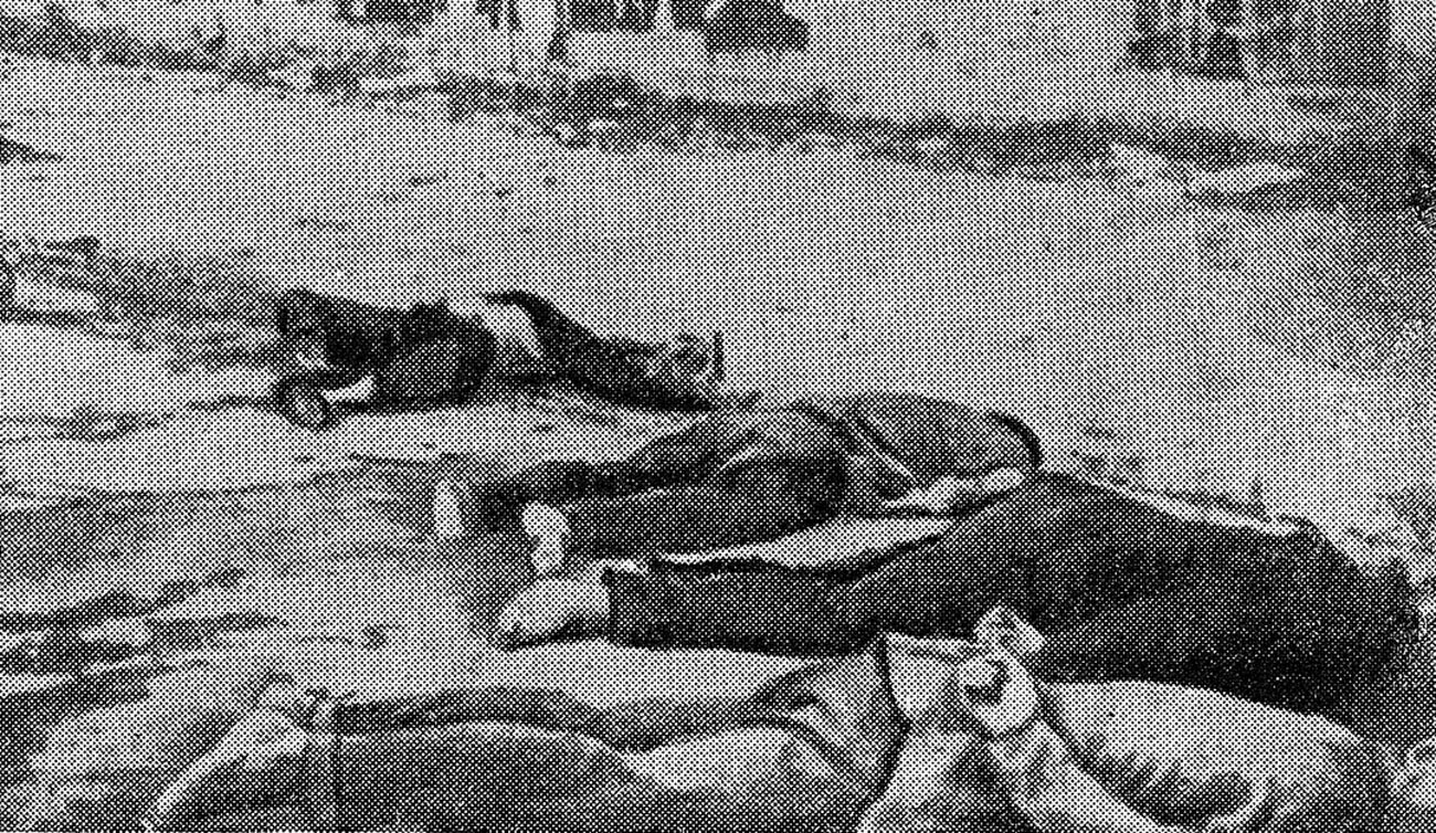 I cadaveri degli impiegati del Consolato generale dell’Unione Sovietica a Canton, dopo la fucilazione decisa dai cinesi