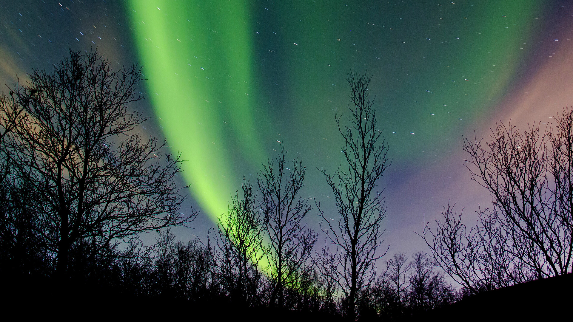 Igor Ageïenko / Sputnik