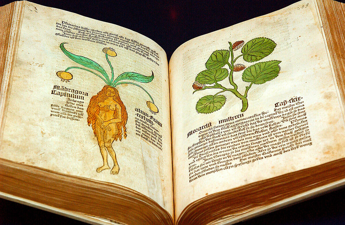 Vrt zdravja, 1485