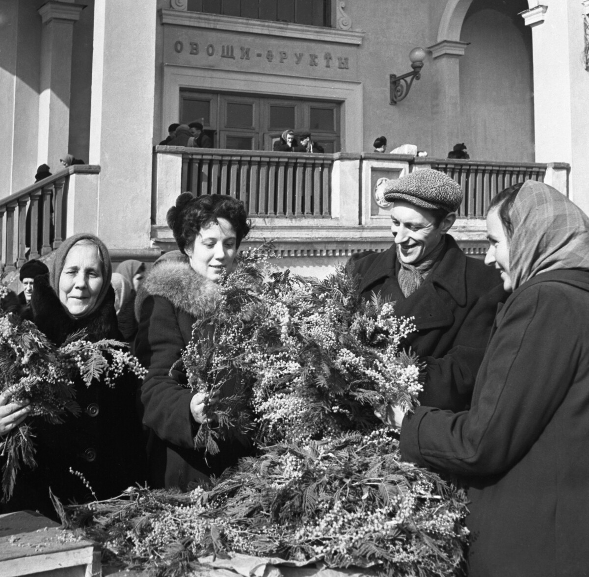 Продажа мимозы на Цветном бульваре Москвы накануне Международного женского дня 8 марта, 1956 г.