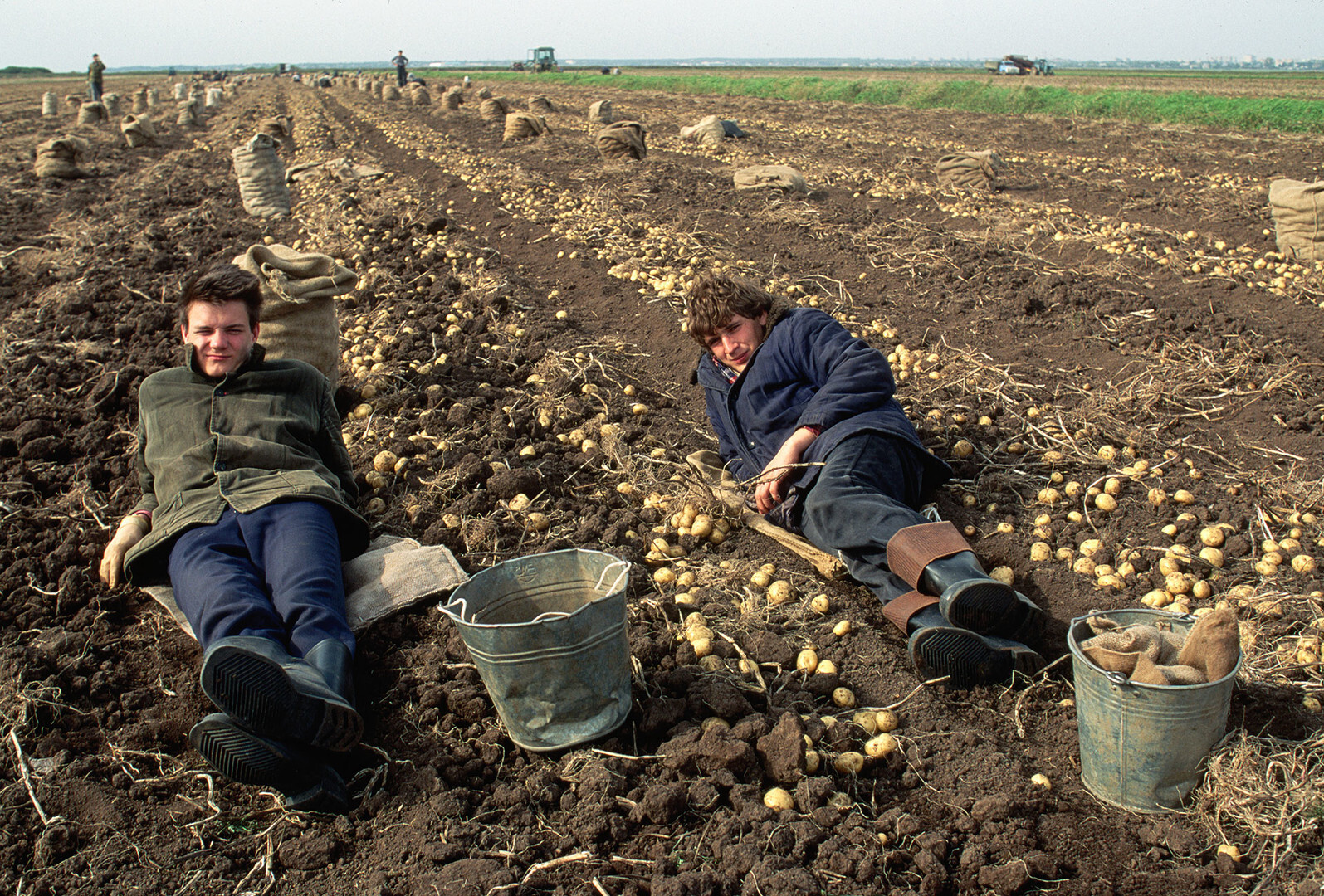 Recolectores de patatas descansando en una granja colectiva.