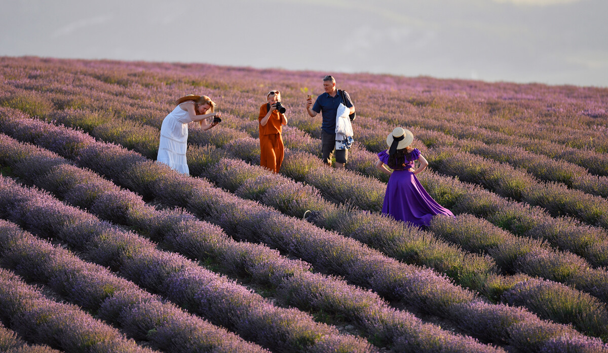 Люди фотографируются на лавандовом поле в Крыму. Плантации лаванды занимают более 120 га в Бахчисарайском районе у села Тургеневка
