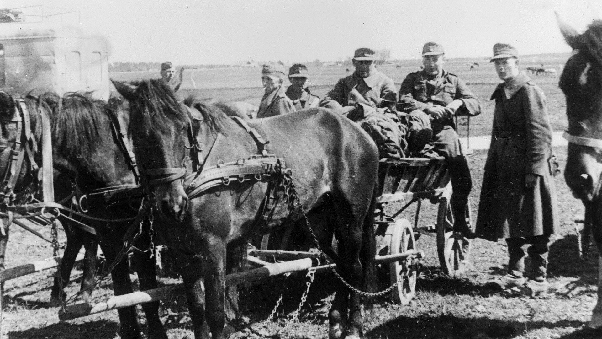 Kurlandija: ujeti nemški vojaki po kapitulaciji, 09.05.1945 