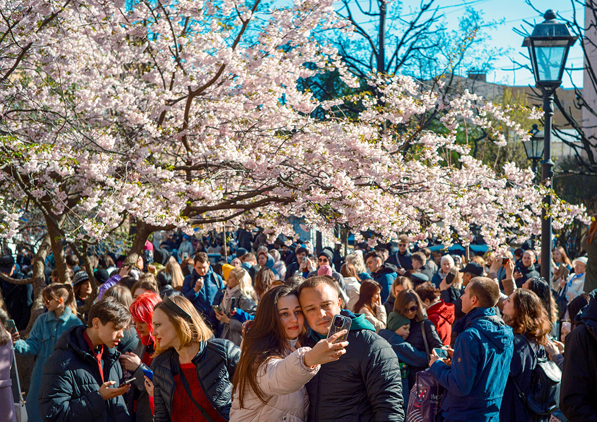 La primavera ha llegado a Rusia. Echa un vistazo a las flores en las ciudades