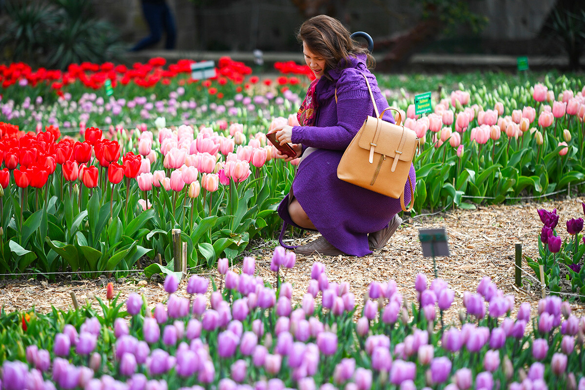 La primavera ha llegado a Rusia. Echa un vistazo a las flores en las ciudades