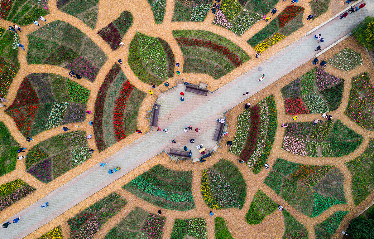 La primavera ha llegado a Rusia. Echa un vistazo a las flores en las ciudades