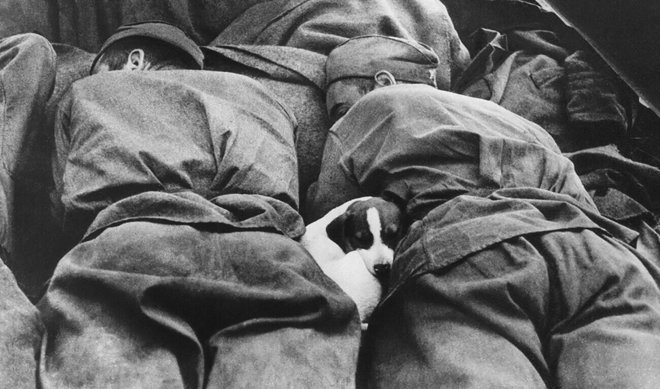 Soldados soviéticos descansando entre batallas.