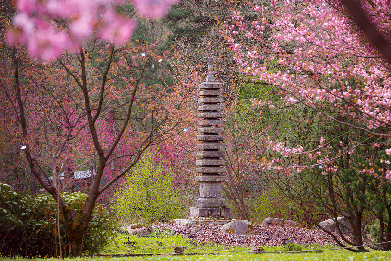 Сinq jardins japonais situés en Russie