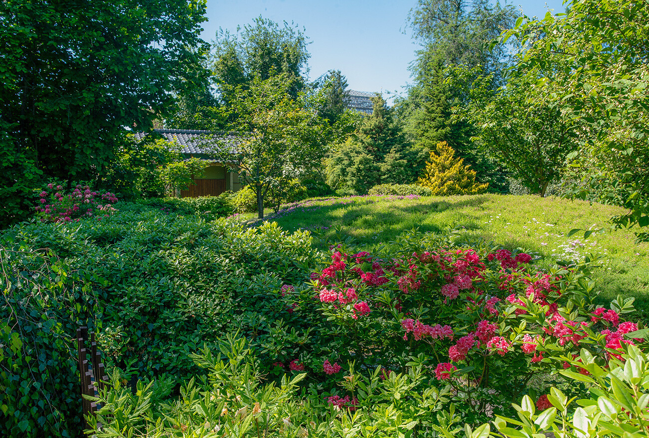 Сinq jardins japonais situés en Russie