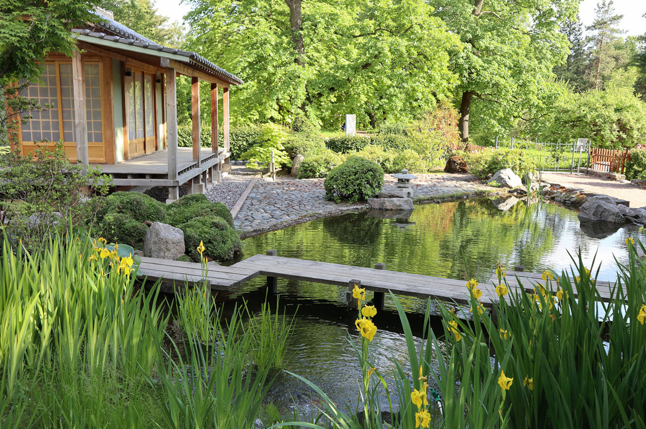 Il Giardino giapponese nell’Orto botanico di Pietro il Grande