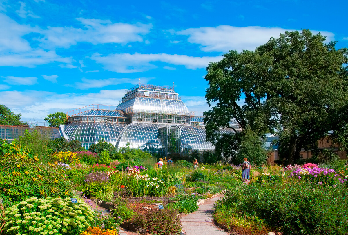 ботанический сад фото 2023