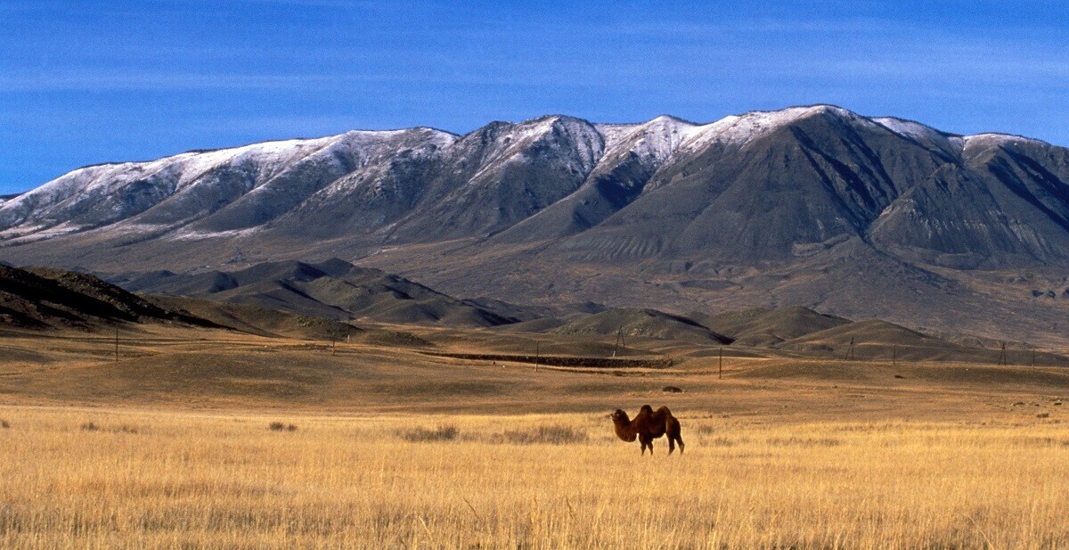 Esto es Rusia... ¡no Mongolia!