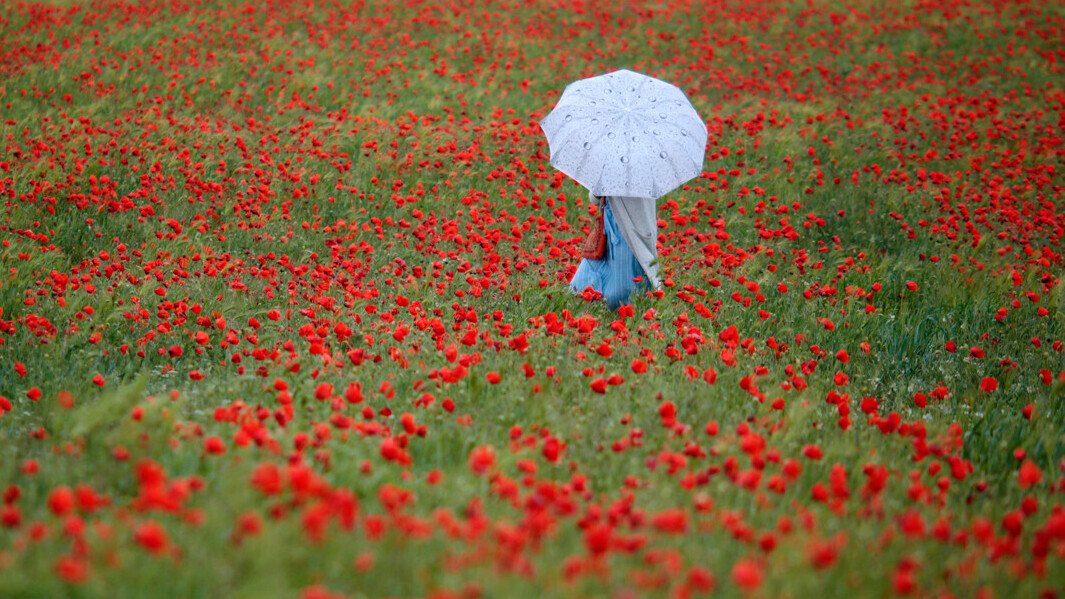 Max Vetrov / Sputnik