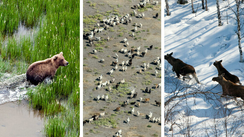 Serguéi Fomín/Global Look Press