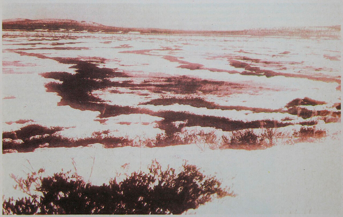 Pântanos de Tunguska, na área onde o meteorito supostamente caiu. Foto da revista 