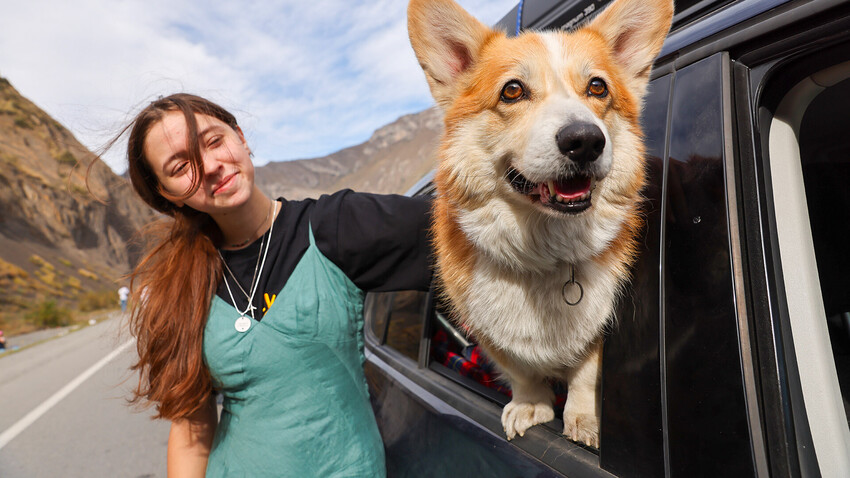 Eine Frau und ein Hund auf dem Weg zum Kontrollpunkt Werchnij Lars an der russisch-georgischen Grenze