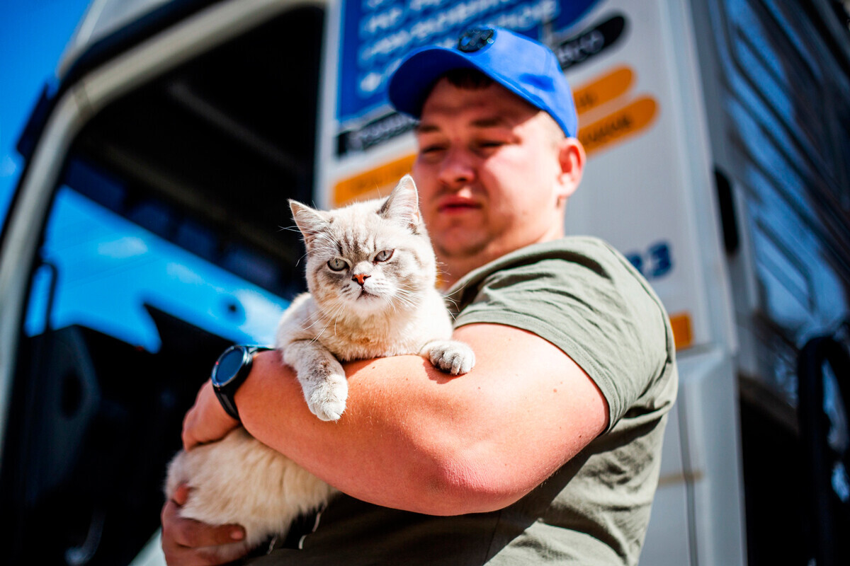 Conheça Big Floppa, um 'gato gigante' que ficou popular nas redes