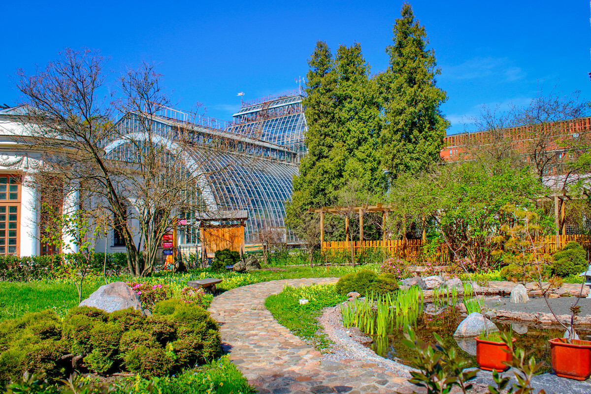 The Botanical Garden of Peter the Great