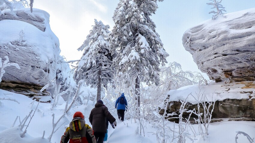 Elena Mayorova / Global Look Press