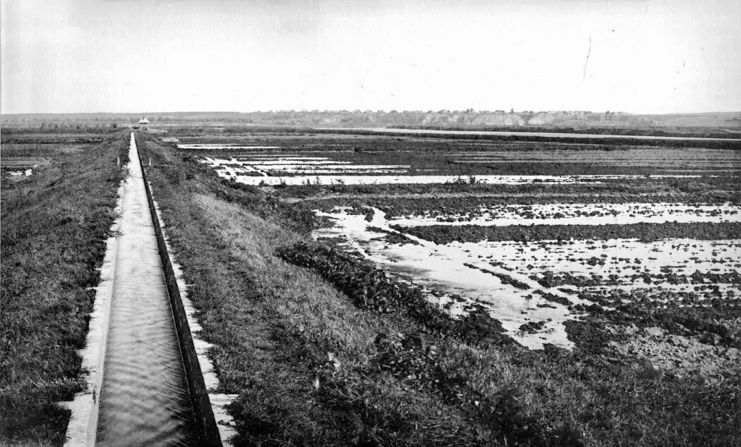 Lyublinskie irrigation fields, Moscow