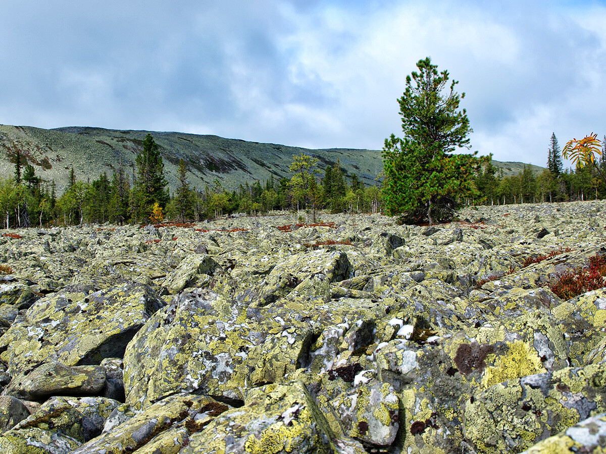 El río de piedra. Vista de la cordillera Martái.