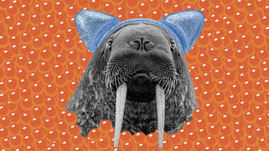 日本語になったロシア語由来の言葉（後半）