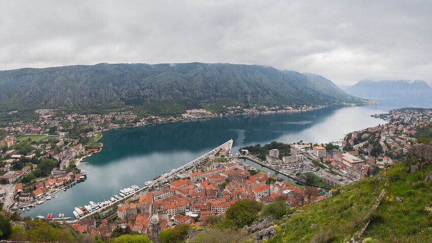 Boka kotorska
