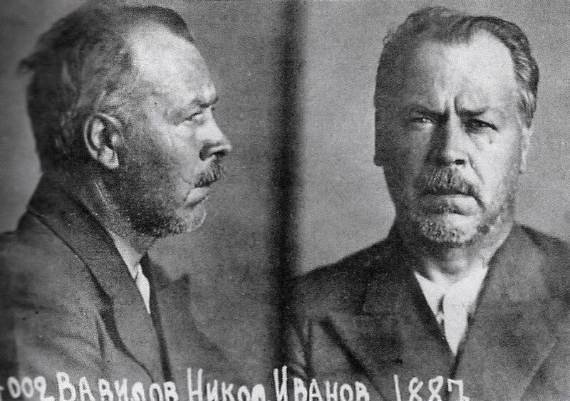 Nikolái Vavilov en la cárcel, en 1942. Fallecería en el siguiente invierno, el 26 de enero de 1943, a los 55 años.