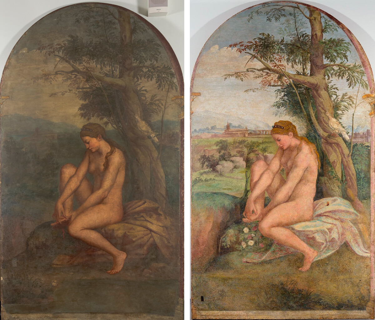 «Венера, снимающая сандалию» (до реставрации) и «Венера, вынимающая занозу» (после реставрации)