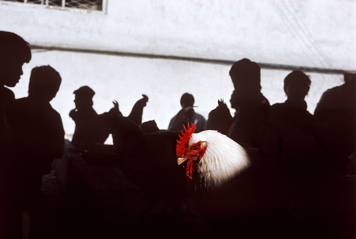 Mercato, Tashkent, Uzbekistan, 1992