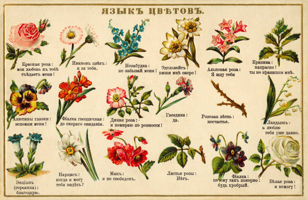 Из књиге „Селам, или језик цвећа“, Санкт Петербург, 1830.