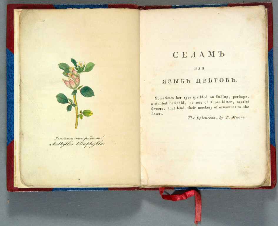 The first pages of 'Selam, or Language of Flowers' by Dmitry Oznobishin, 1830