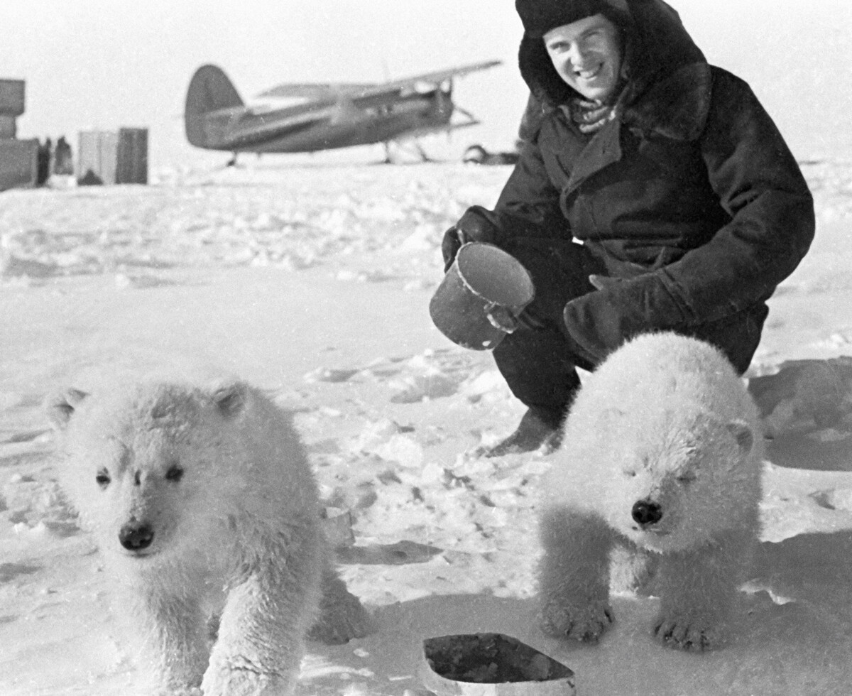 White bears on drifting ice station 'North Pole-19', 1970.