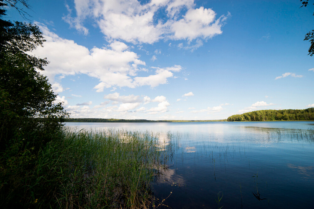Jezero Brosno 