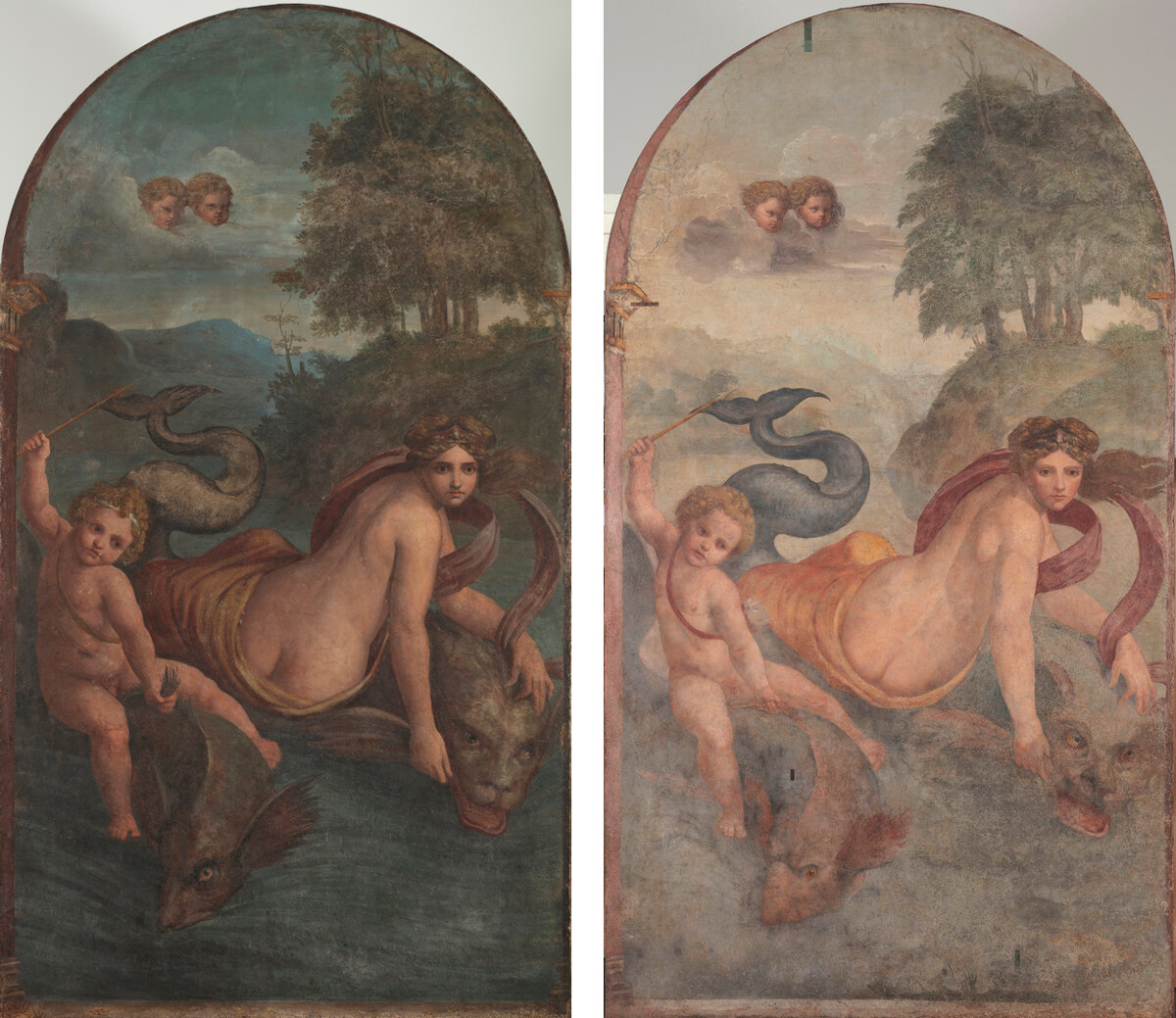 “Venere e Amore sui delfini” dopo e prima del restauro