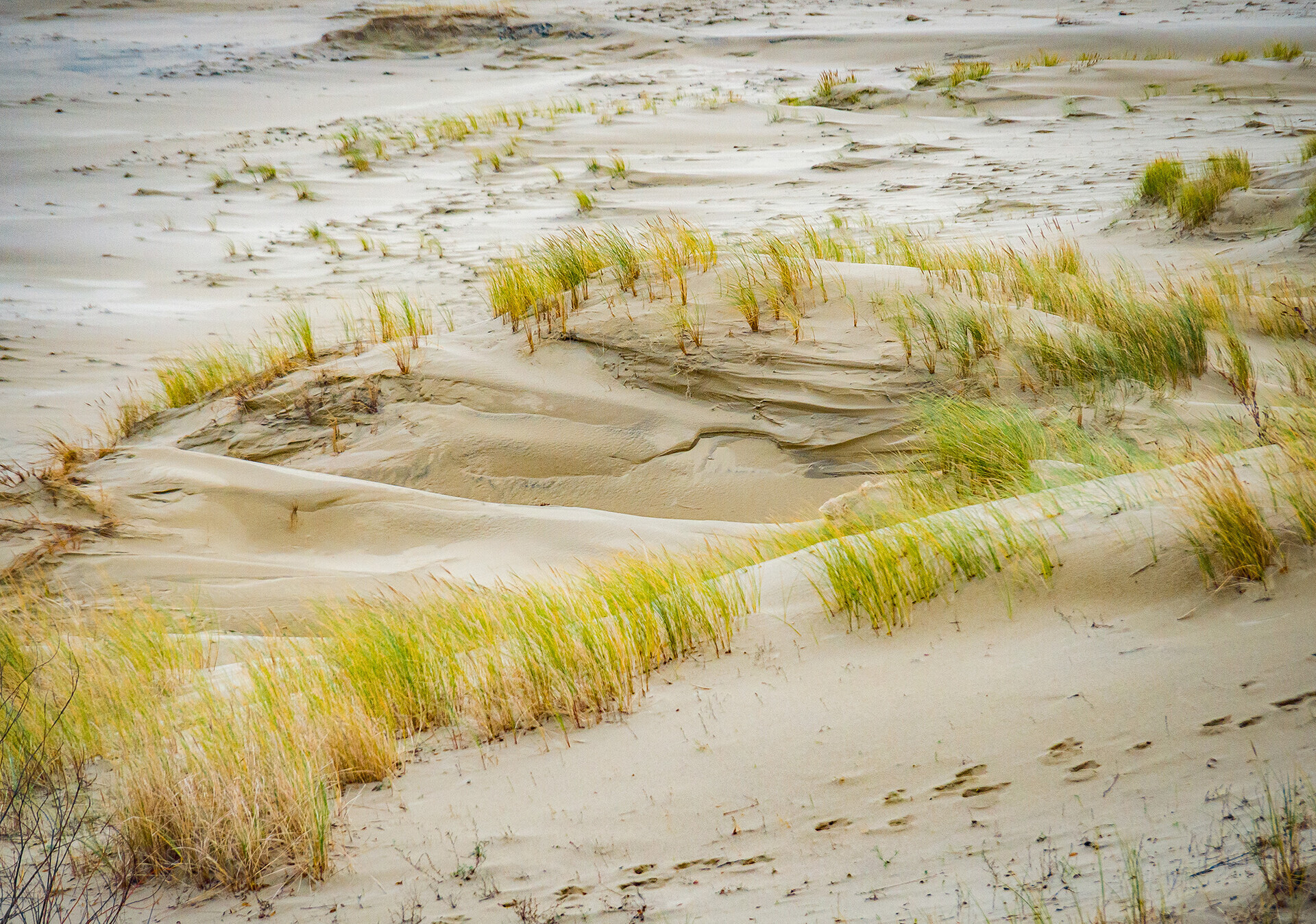 Uma das dunas de areia mais altas da Europa está localizada na Rússia (FOTOS)