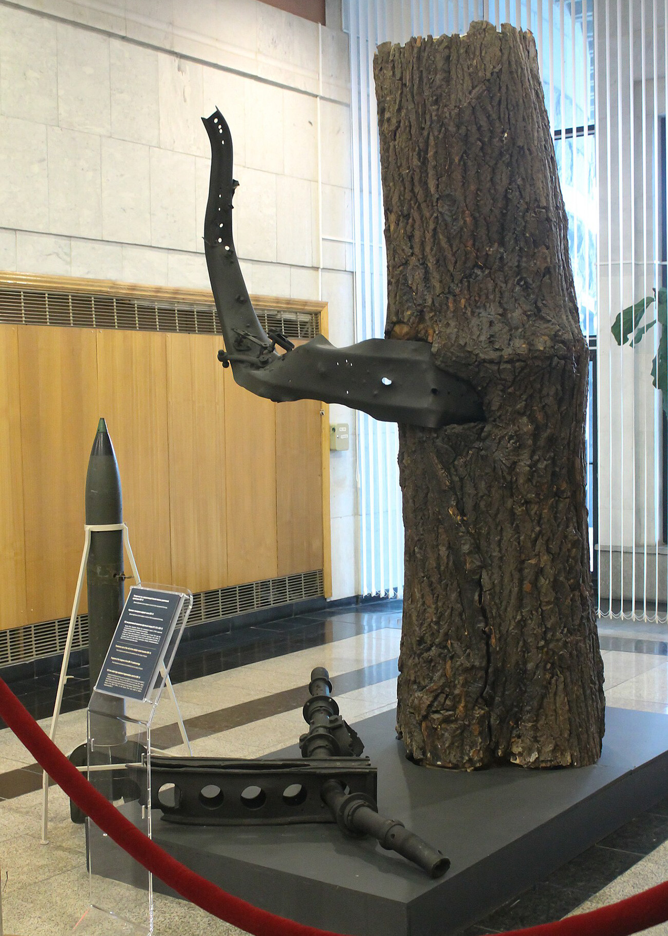 Drvo s mjesta pogibije I. A. Fljorova (eksponat Muzeja pobjede). 