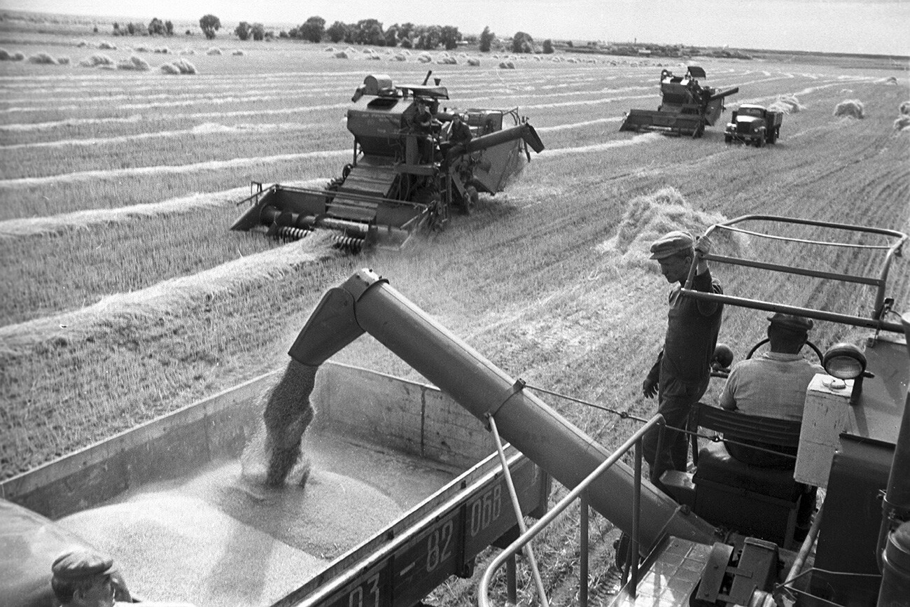 Mietitrebbia in azione per la raccolta del grano