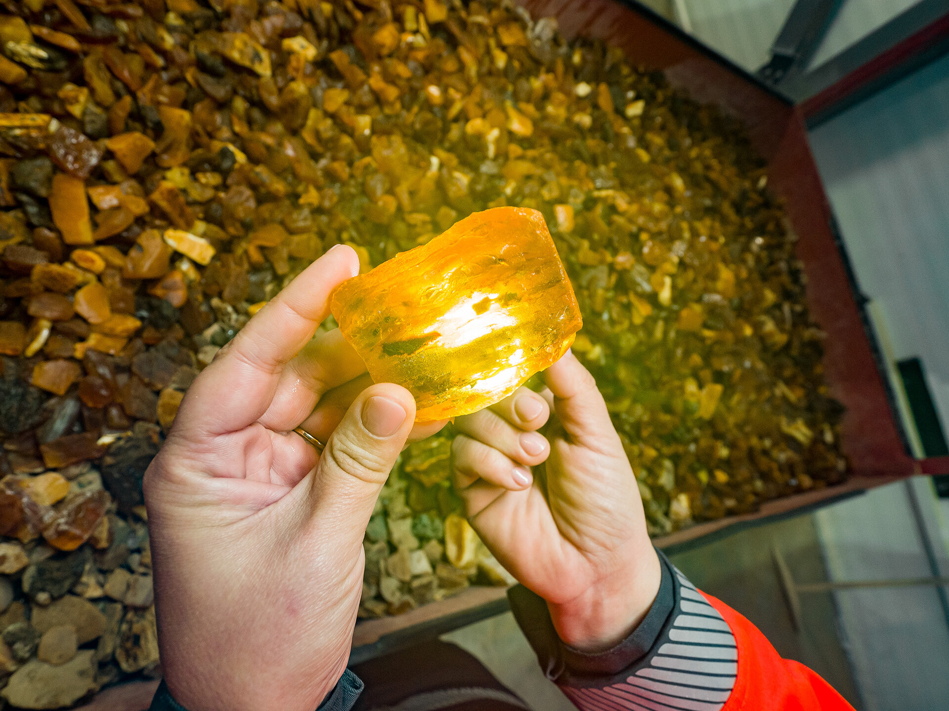 Anna Dugina shows interesting inclusions in large amber.