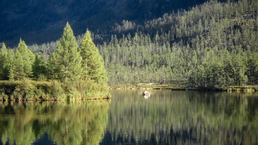 Dzherguinski, reserva natural en Siberia, cerca del lago Baikal (Vídeo
