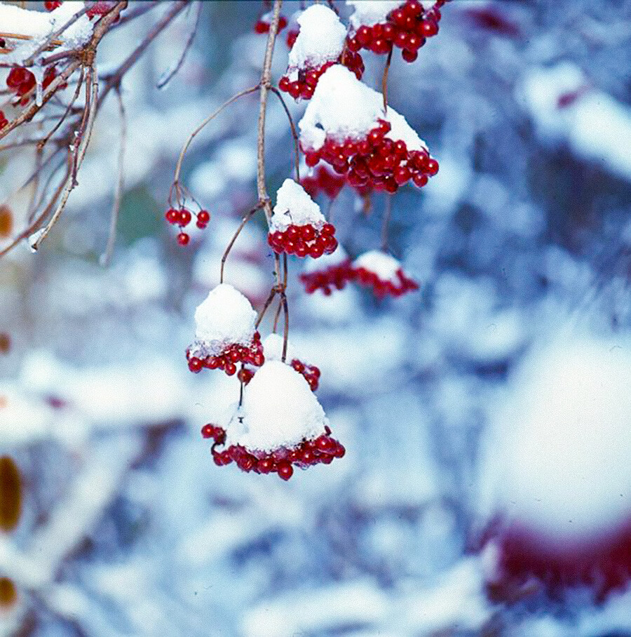 Immersion dans l’hiver soviétique grâce à des photographies en couleurs