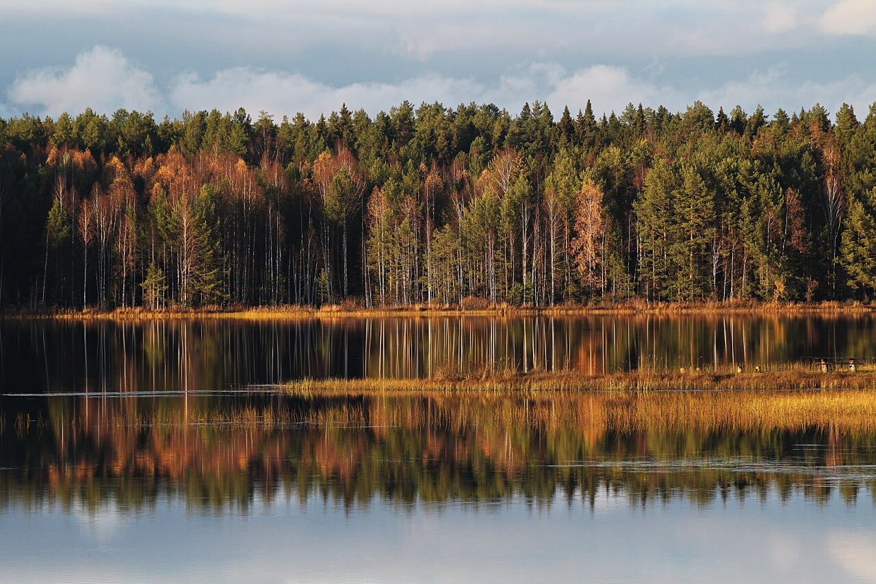 Región de Kírov en otoño.