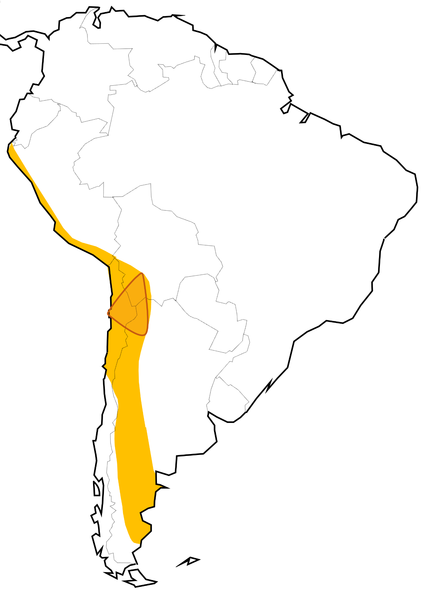 Mapa del Triángulo del Litio en la Diagonal Arreica. Se observa el triángulo como un area contigua en el norte de Chile, noreste de Argentina y el suroeste de Bolivia.