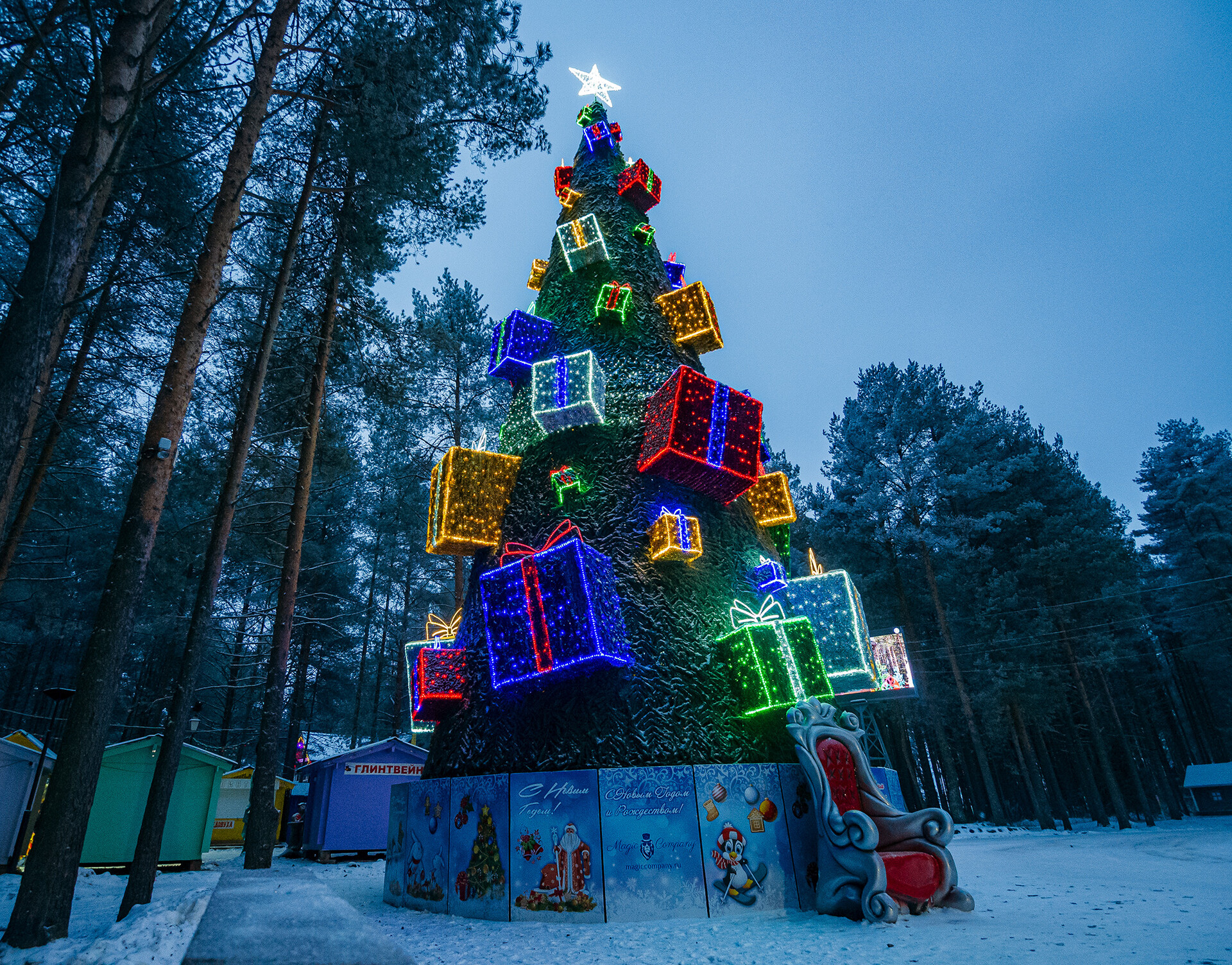 The huge fir near Ded Moroz's terem.