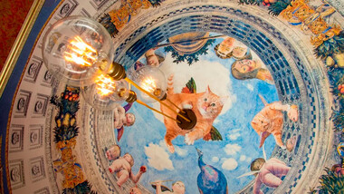Fancy owning a Zarathustra the Cat themed apartment in St. Petersburg? It’s for sale! 