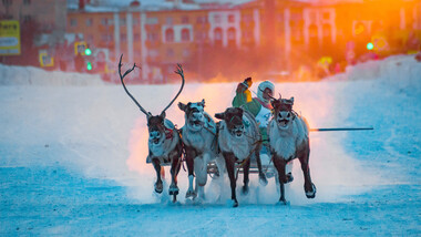 Reindeer sledge races in the city: The 'Festival of the North' in Vorkuta up close! (PHOTOS) 