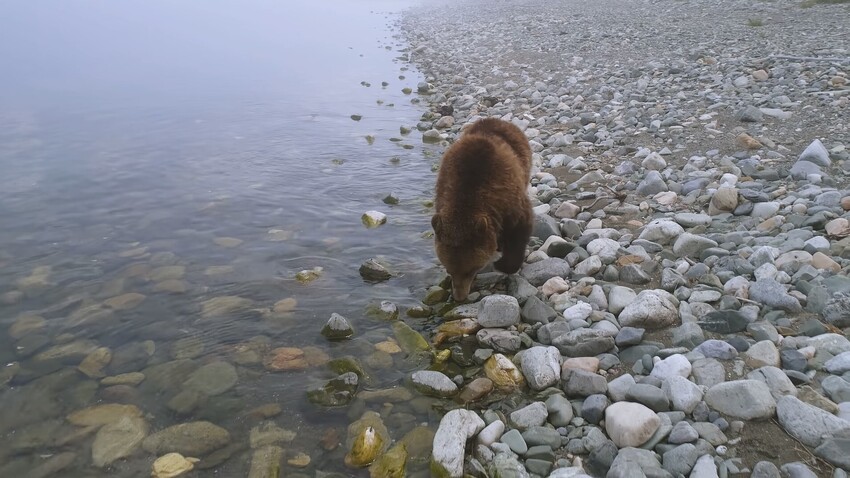 Bajkalsko-Lenški rezervat