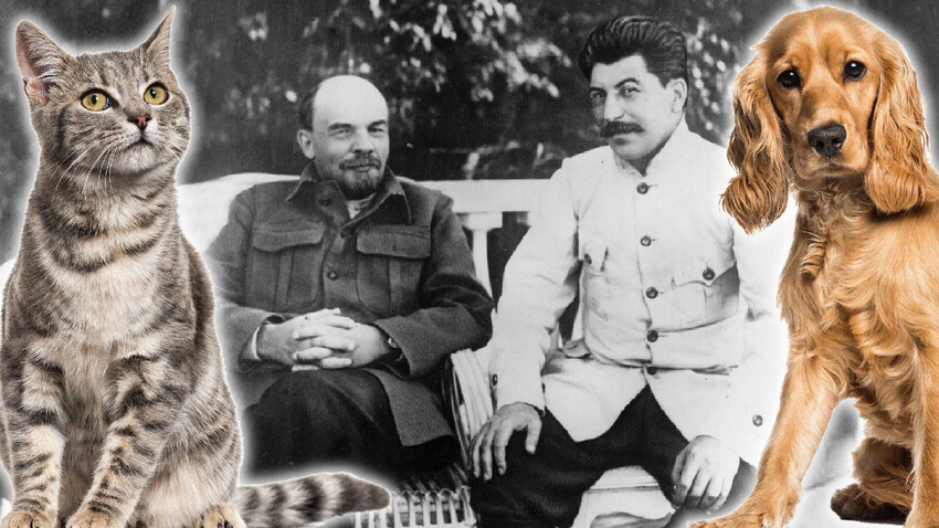 Какие домашние животные были у советских лидеров - Узнай Россию